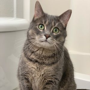 Meet your Posher, Alison